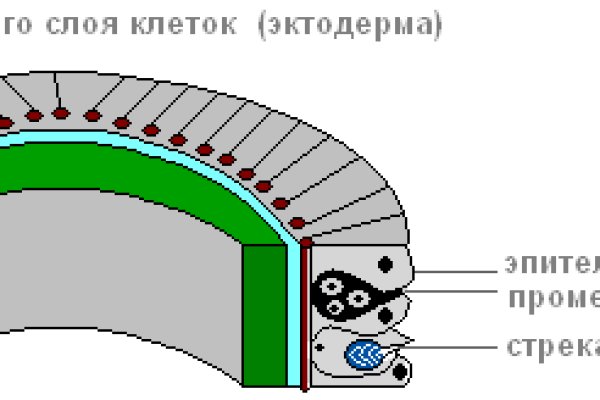 Кракен картель