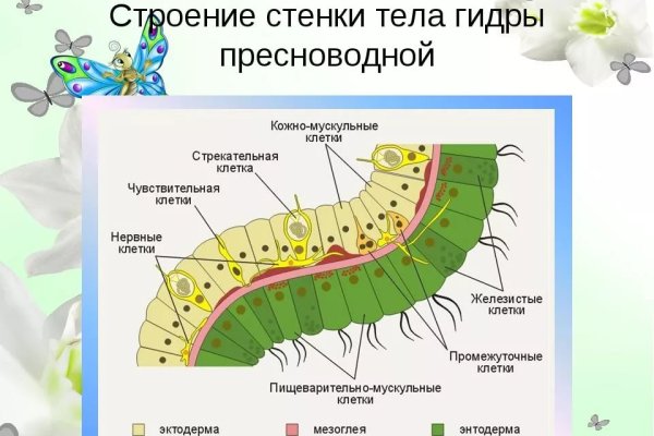 Как восстановить пароль кракен